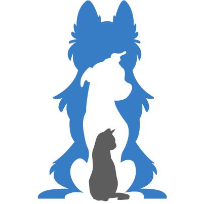 1698059842272997988_114394007818413_4328170300096288623_n.jpg